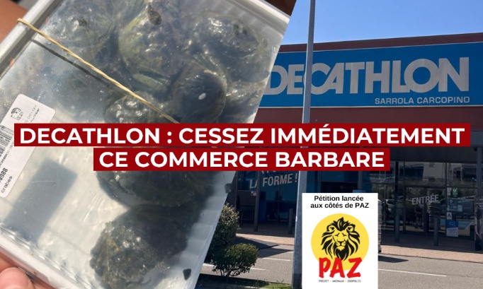 Decathlon : cessez immédiatement ce commerce barbare