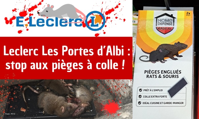 Leclerc Les Portes d’Albi : stop aux pièges à colle