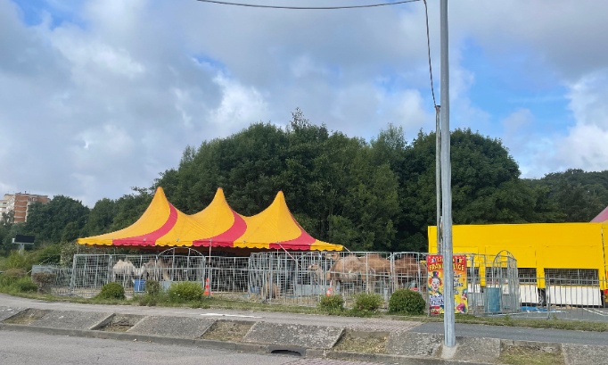 Stop au cirque Franco Belge!