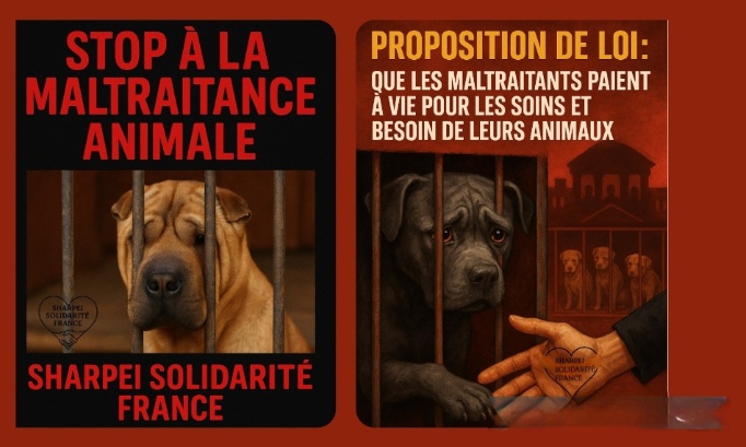 Pour une loi contre la maltraitance, l'abandon et la reproduction irresponsable des animaux