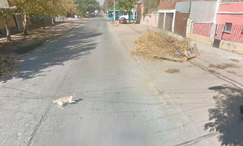 Rouler moins vite peut sauver une vie