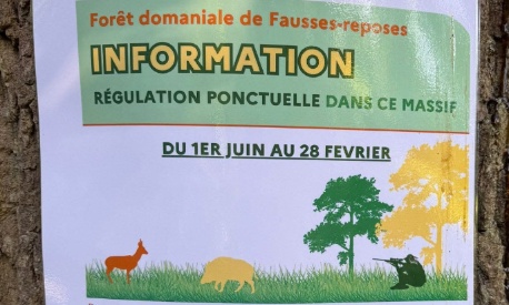 Mise en danger d'autrui dans le but de tuer des animaux, forêt urbaine de Ville d'Avray 92