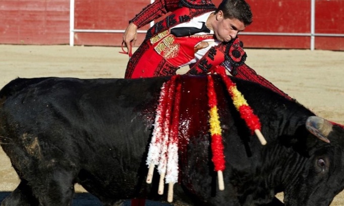 Pour l’abolition de la corrida : la torture n’est pas un spectacle