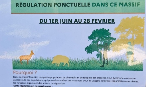 Stop à la chasse de régulation en Forêt des Fausses Reposes-Versailles