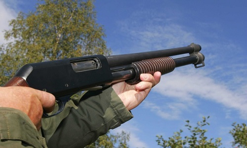 La chasse uniquement le matin !