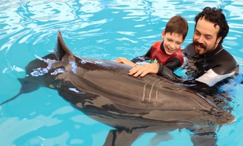 Non à la delphinauthérapie