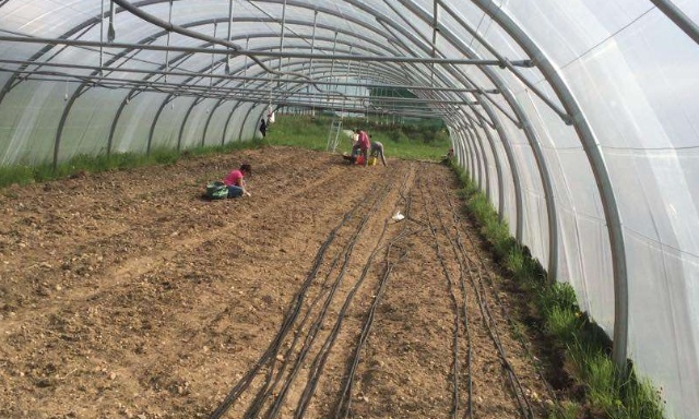 Non à l’expulsion de Mamoudou, maraîcher indispensable à notre ferme !