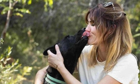 Pour la démission de Jacques-Charles Fombonne, président de la SPA, après l’euthanasie injuste de Smoke