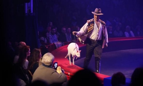 Non aux Cirques avec animaux à Monchy le Preux