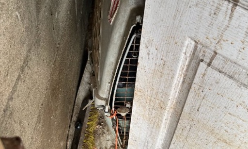 Visite vétérinaire obligatoire par l'Etat pour les chiens de sécurité