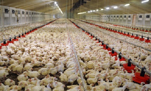 Pour la suppression de toutes les atrocités !