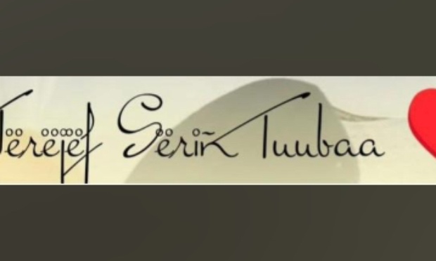 Insultes et propos offensants envers un guide religieux et toute la communauté mouride