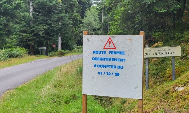 Annulation interdiction circulation route forestière