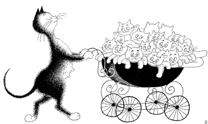 STERILISATION ET PROLIFERATION FELINE...