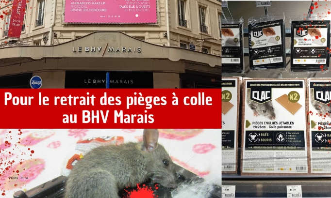 Pour la fin des pièges à colle chez BHV Marais