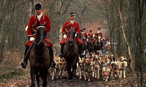 Abolition de la chasse à courre et la cynégétique