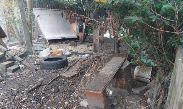 STOP A LA MALTRAITANCE ANIMALE PAR L'ASBL TOESTAND KORENBEEK