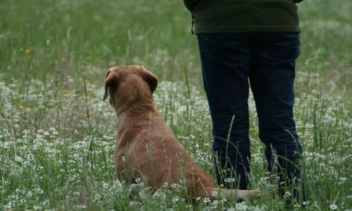 Convocation d'une assemblée générale extraordinaire en octobre 2016
