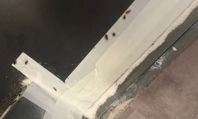 Pour l'abattage des logements insalubres rue Phileas Lebesgue