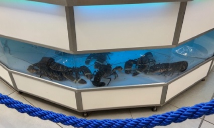 Non à la vente de homards à Intermarché Pinsaguel !