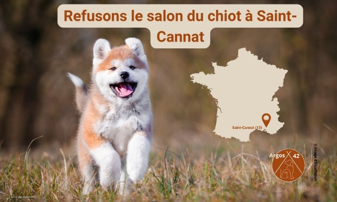 Refusons le salon du chiot à Saint-Cannat !
