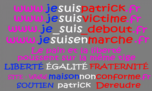 Demande d’Enquête Parlementaire pour « Parjure & Corruption à très grande échelle au cœur même de la justice ».