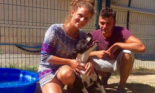 La SPA de Carcassonne refuse la libération de Glamour!