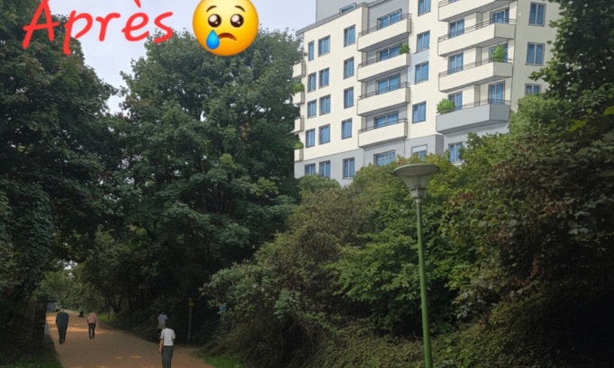 NON A LA CONSTRUCTION D'UN IMMEUBLE, VOIE VERTE DE CALUIRE EN DANGER ⚠️⚠️