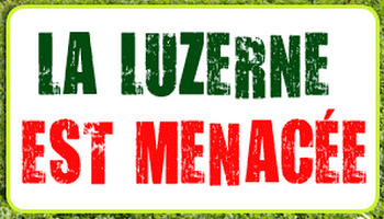 Sauvons la Luzerne !