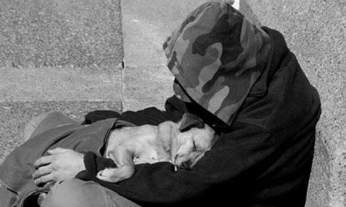 Demande de contrôle de puce ou de tatouage pour tous les animaux accompagnant les mendiants