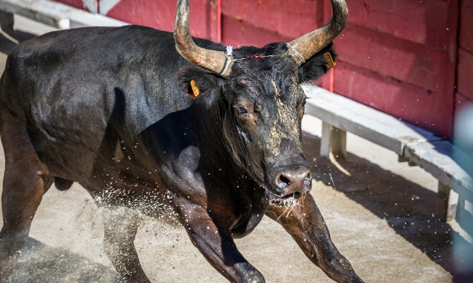 NON à la tradition du 