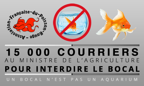 Interdire la vente du Bocal à Poisson Rouge