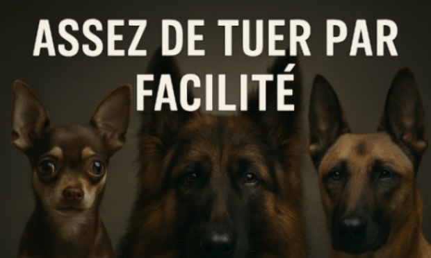 Assez de tuer par facilité !