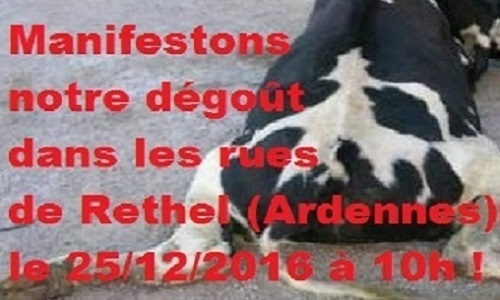 Stop à la maltraitance animale au foirail de Rethel. Pour une manifestation de masse dans les rues de Rethel le jour de noël, le 25/12/2016 à 10h !