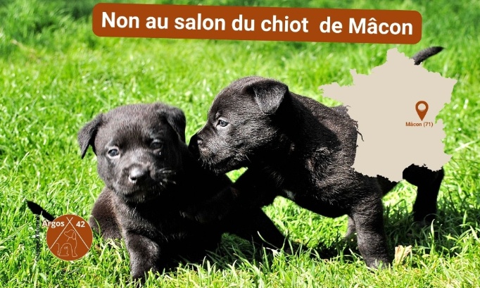 Non au salon du chiot de Mâcon