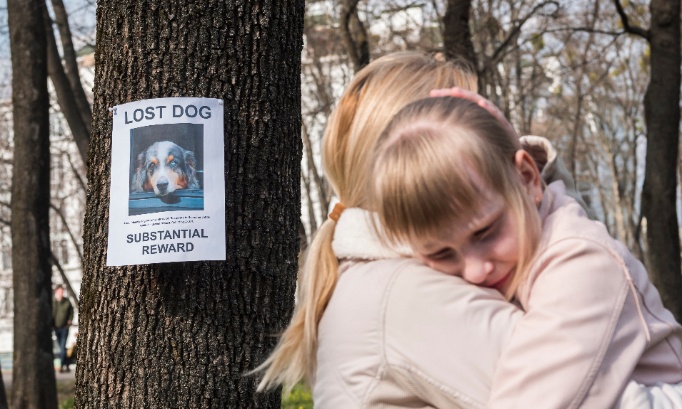 Pour la gratuité des sites de recherche d'animaux perdus