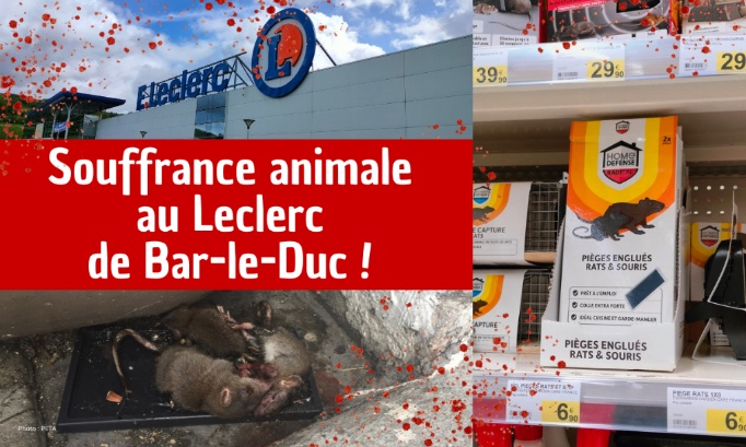 Non à la vente de pièges à colle au Leclerc de Bar-le-Duc