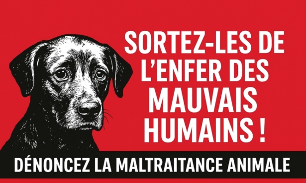 Brisons le silence : dénonçons la maltraitance animale
