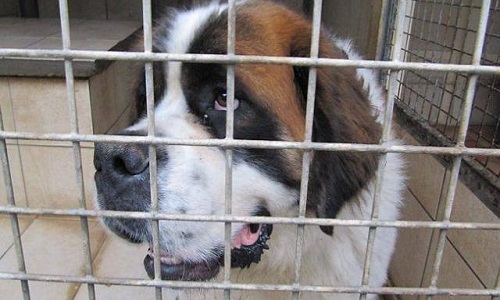 Pour l'ouverture de refuges particuliers