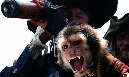 La maltraitance animale au cinéma