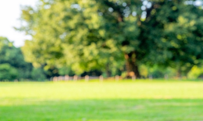 URGENCE — Sauvons le parc de La Rambla à Saint-Cyr-sur-Mer : STOP au chantier du bike park !