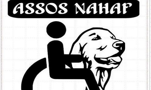 Non aux animaux dans les cirques