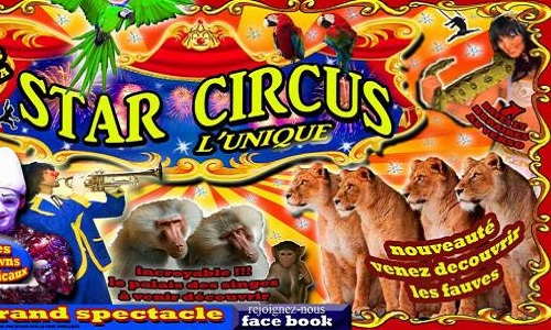 Non aux cirques avec animaux à Collonges-Sous-Salève