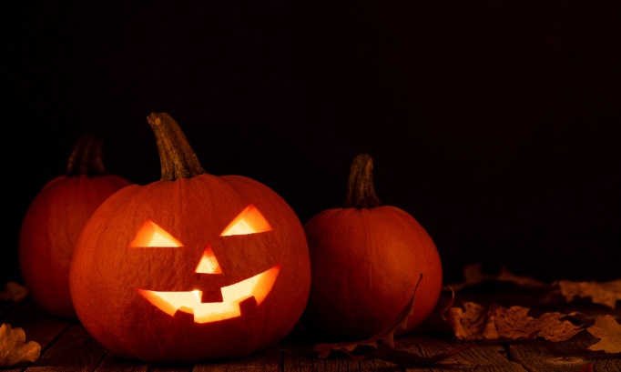 Soirée halloween dans le gymnase organisé par les élèves et si possible une nuit au lycée