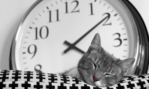 Stop au changement d'heure !