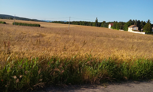 Il fait bon vivre à Sermérieu