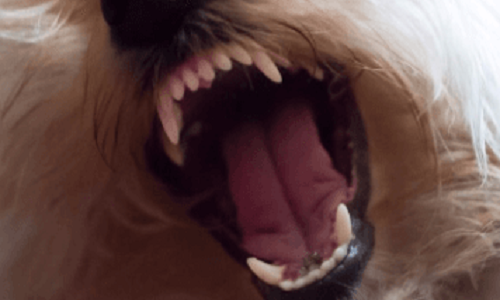 Soutenir une victime