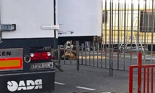 Dunkerque : stop aux cirques avec animaux !