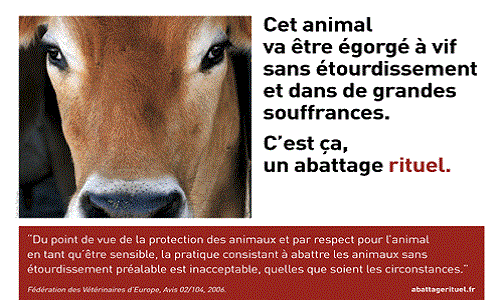Interdire l'abattage rituel dans les abattoirs