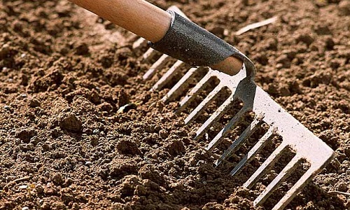 Contre les accaparements de terres dans le monde